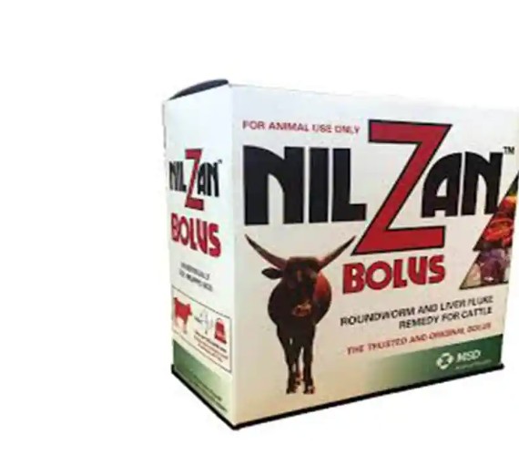 NILZAN BOLUS