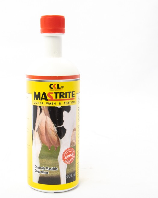 Mastrite