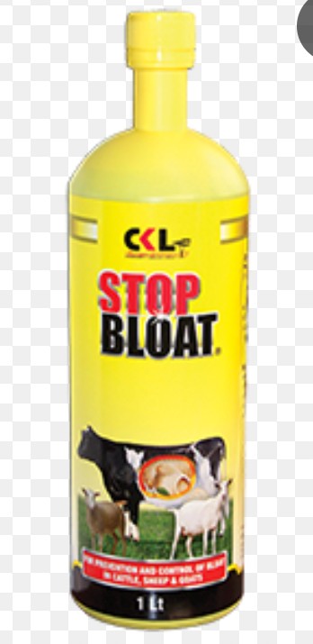 CKL stop bloat