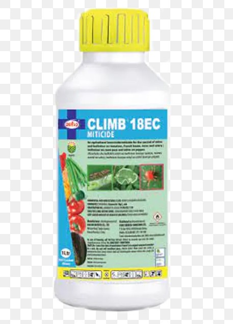 Climb 18ec