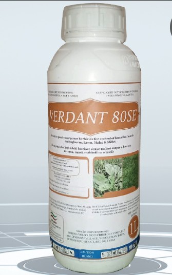 VERDANT 80SE