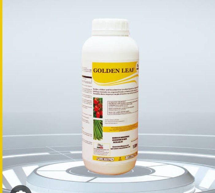 Golden leaf