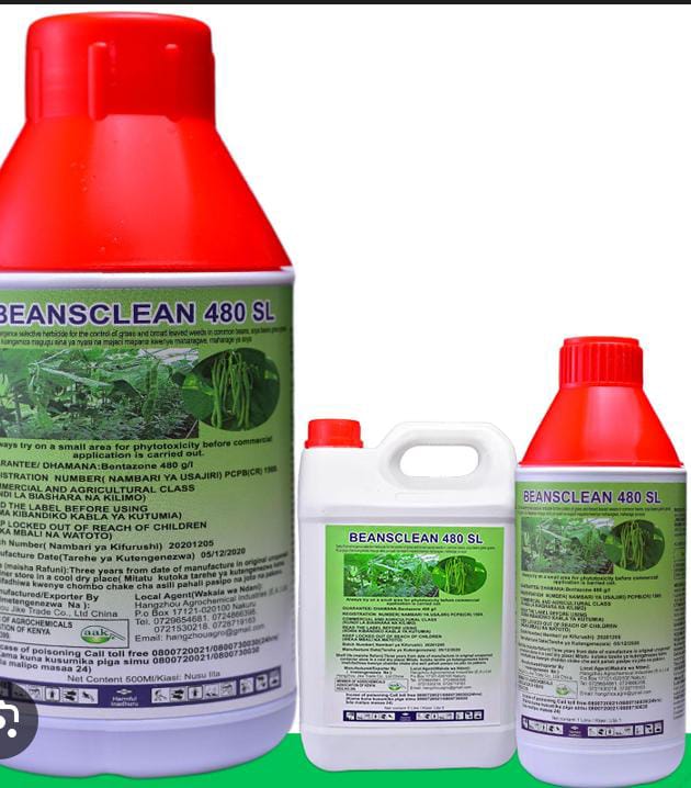 Beans clean herbicide
