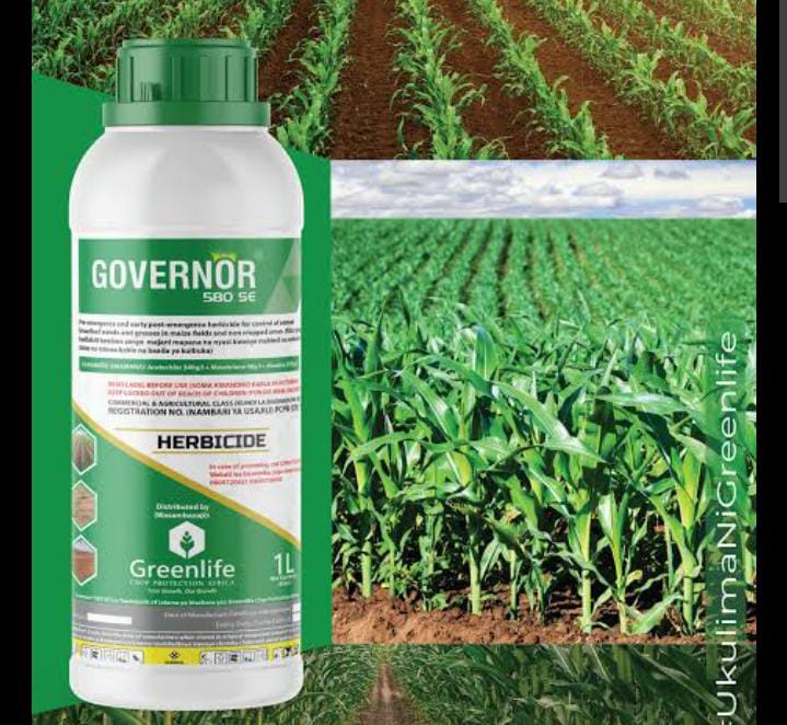 Governor herbicide