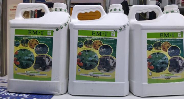 Em1