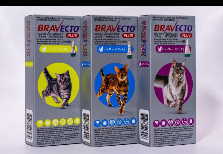 Cat bravectos