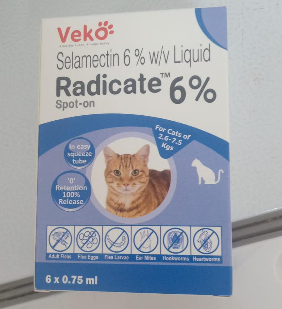 Radicate cat spot on