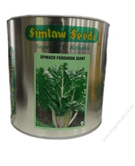 Spinach fordhook giant