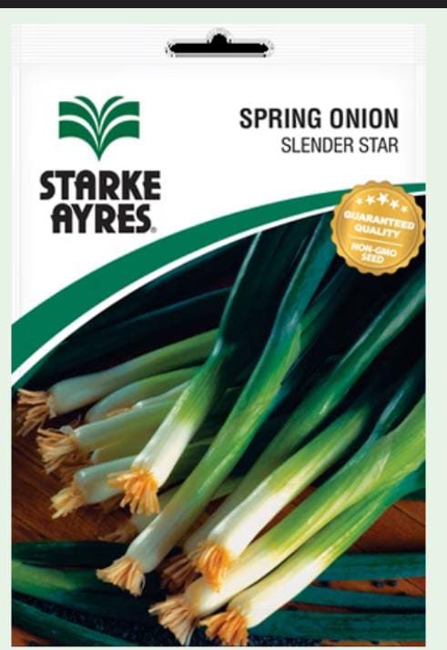 Spring onion