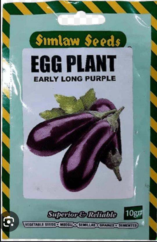 Eggplant