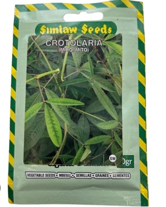 Clotolaria (Miro) mito seeds