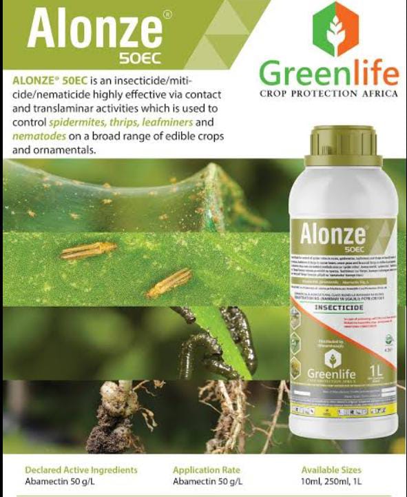 Alonze 50ec