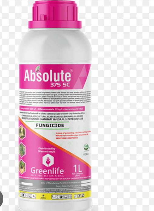 Absolute star 375SC