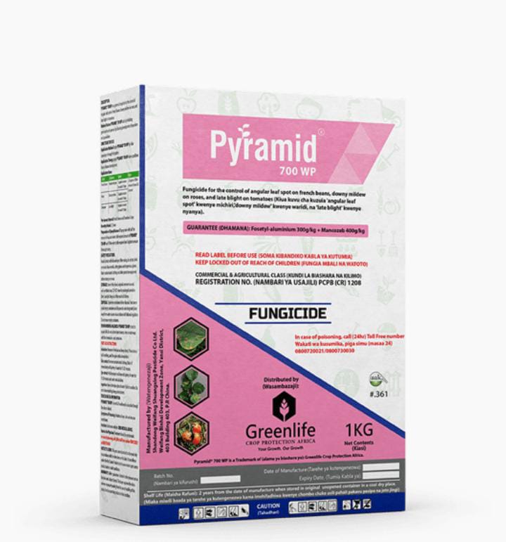 Pyramid 700wp
