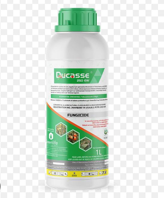 Ducasse 250 ew