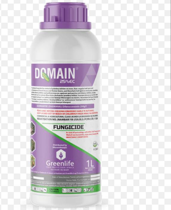 Domain 25% ew