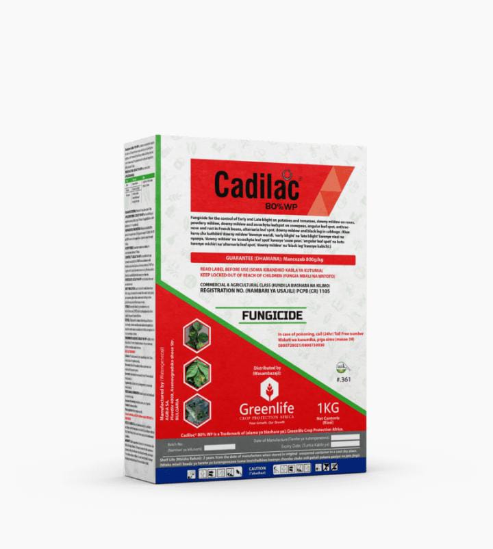 Cadilac 80wp